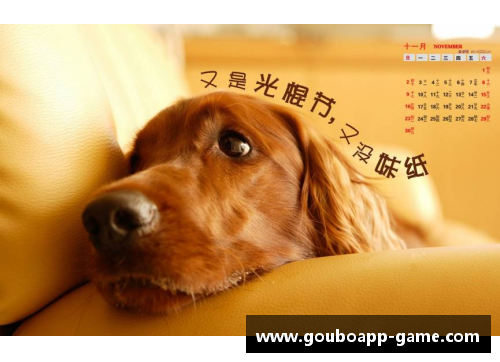 狗博官方APP下载鼓舞士气！体育明星的励志祝愿