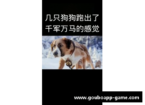 狗博官方APP下载巴勒莫迎战大阪钢巴：激情对决，谁能笑到最后？