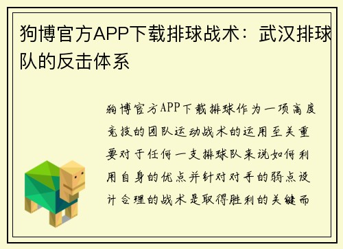 狗博官方APP下载排球战术：武汉排球队的反击体系