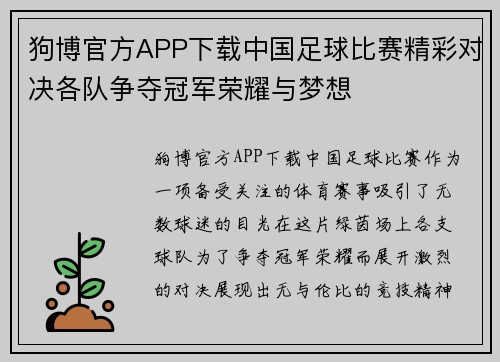 狗博官方APP下载中国足球比赛精彩对决各队争夺冠军荣耀与梦想
