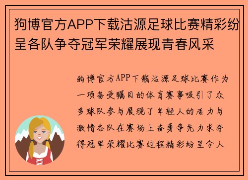 狗博官方APP下载沽源足球比赛精彩纷呈各队争夺冠军荣耀展现青春风采