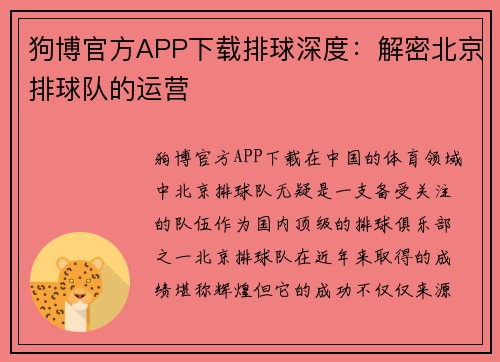 狗博官方APP下载排球深度：解密北京排球队的运营