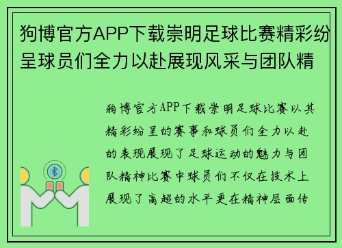 狗博官方APP下载崇明足球比赛精彩纷呈球员们全力以赴展现风采与团队精神