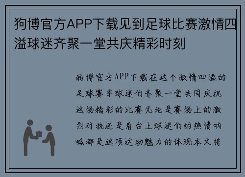 狗博官方APP下载见到足球比赛激情四溢球迷齐聚一堂共庆精彩时刻